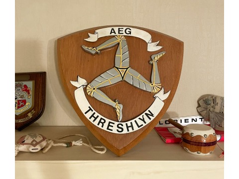 Aeg Threshlyn shield