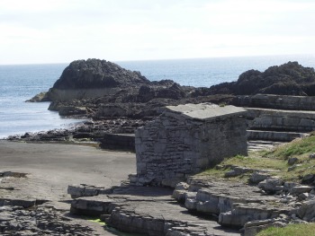 Next to the old quarry hut are some fossils